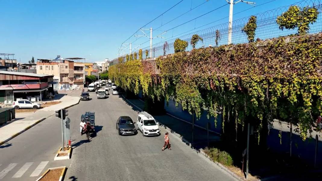 Adana’da Betonun İçinde Yeşil Mucize! Metro Geçidi Sarmaşıklara Büründü 1